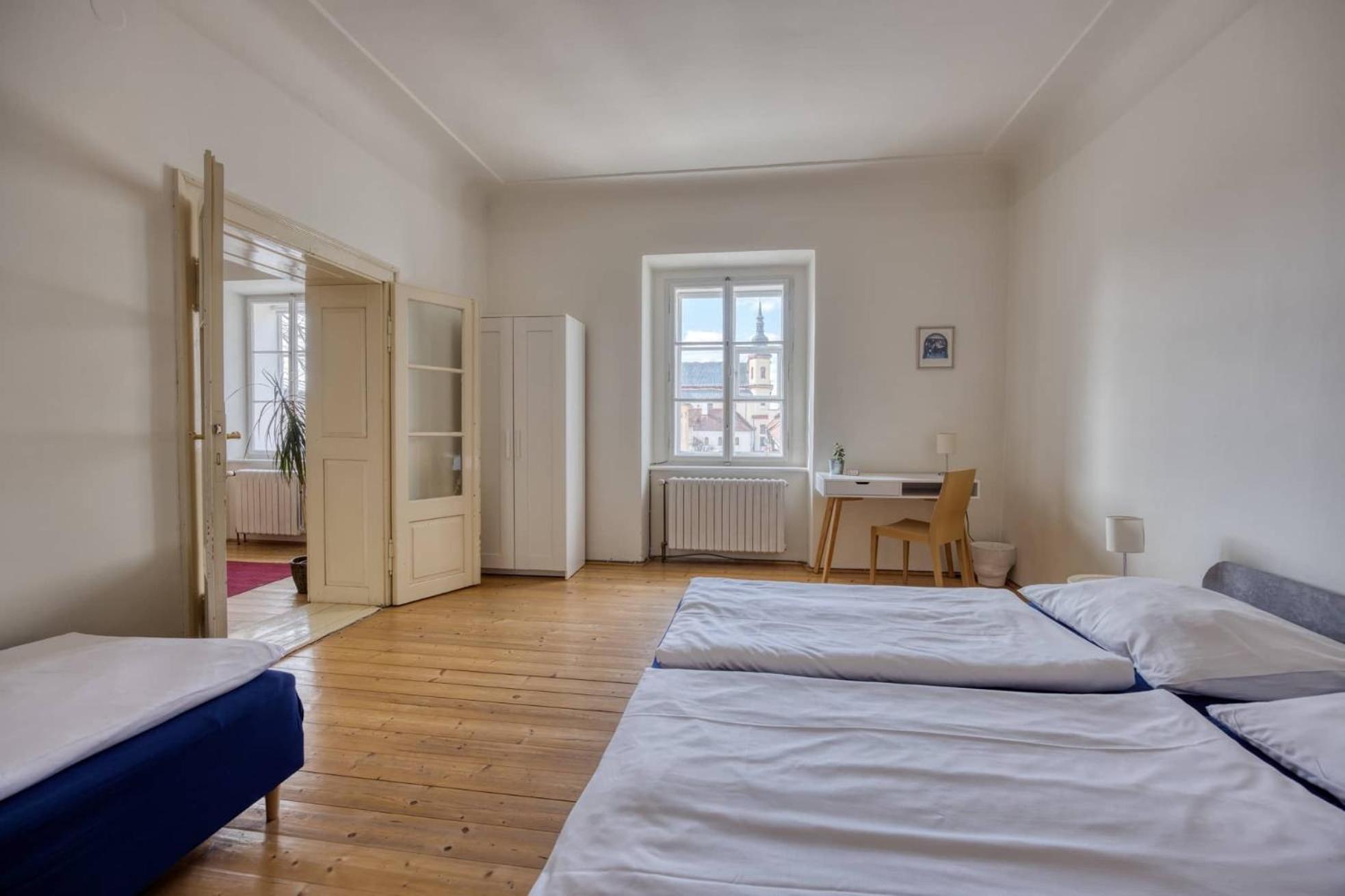 Zamecky Hostel ליטומיסי מראה חיצוני תמונה